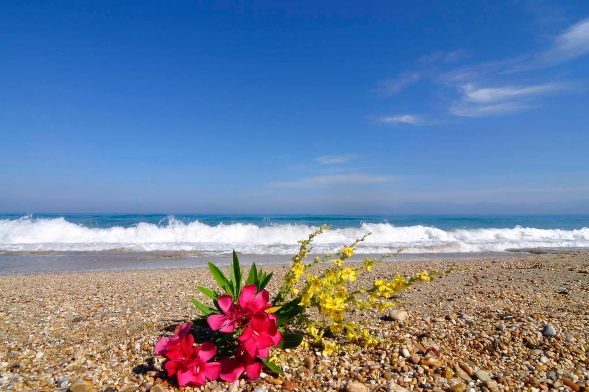 Almyra Beach House Corfu Almiros Beach Екстериор снимка